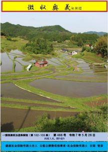 再度入札、競り売り